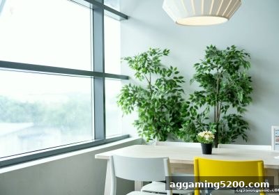 轮盘游戏全攻略：cq9电子教您掌握规则与策略