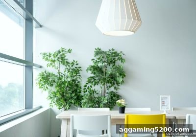 探秘cq9电子平台：闲家与庄家的策略博弈与雷霆战警启示