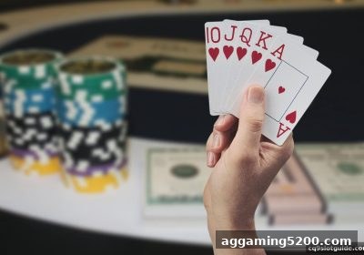 胜率密码：cq9电子平台玩家行为数据的关键影响因子