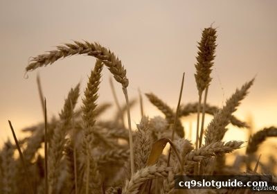 cq9电子平台串关新用户存款奖励完整指南：玩法解析与最优策略