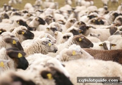 cq9电子助你规划世界杯赛程：从小组赛到决赛的完整时间线